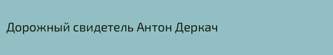 Дорожный свидетель Антон Деркач
